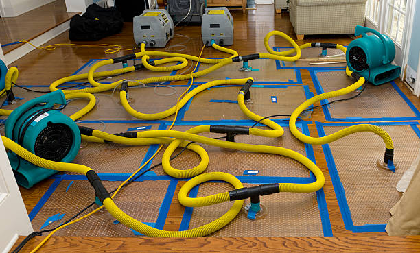 Professional Water Damage Repair technician working in Davin, WV