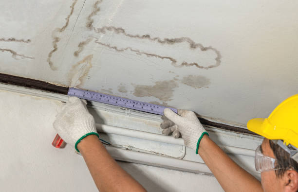 Affordable Water Damage Repair solutions in Davin, WV
